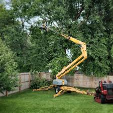 Best Lawn Dethatching  in Stigler, OK